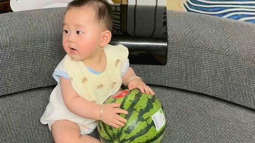 吃瓜的宝宝们,揭秘娱乐圈幕后故事