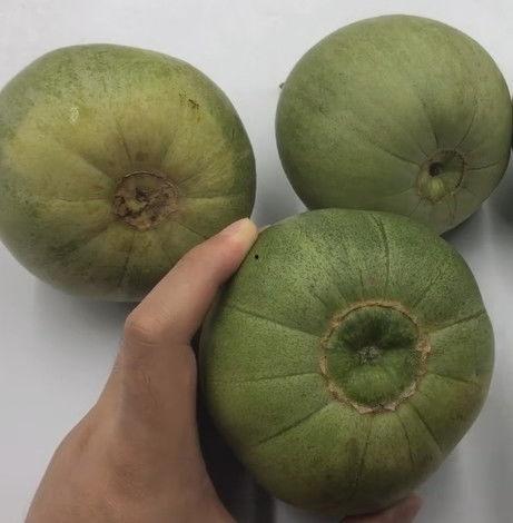 一只正在吃瓜的老青,老青虫的美食时光