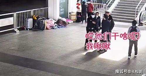 吃瓜被报警的男子,揭秘网络舆论的边界与责任