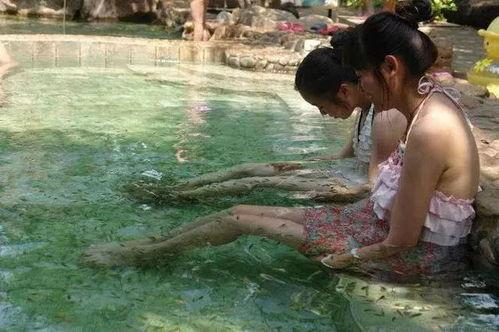 湄潭吃瓜,探寻瓜果飘香的田园风光