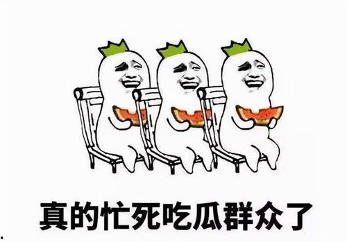 吃瓜的心被激起,一场吃瓜者的心路历程