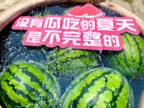 吃瓜知识大全集,揭秘娱乐圈幕后真相与趣味故事