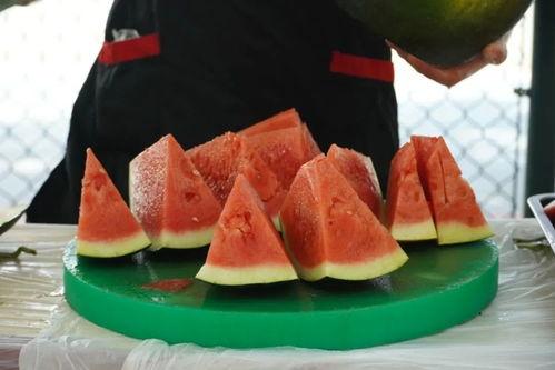 吃瓜职业学院,揭秘校园里的“瓜田”生活