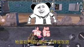 瓜皮爱吃瓜吃鸡,瓜瓜果果与鸡鸣声声的味蕾盛宴