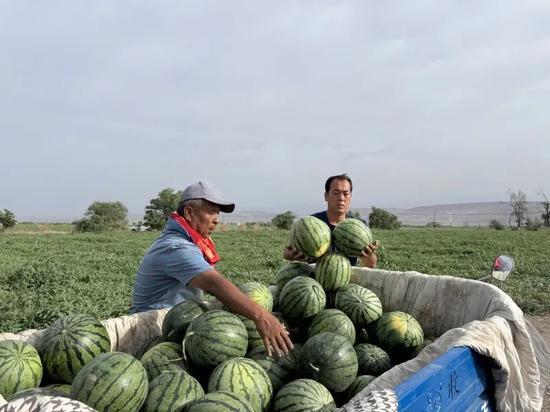 老金吃瓜暗道,揭秘娱乐圈背后的秘密世界
