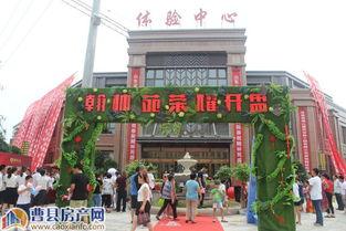 吃瓜曹县售楼处,吃瓜群众见证房地产新风向