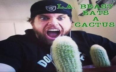 吃货挑战吃蜜瓜,蜜瓜盛宴的吃货冒险之旅