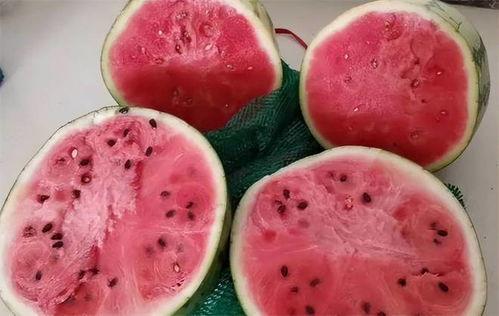 吃麒麟瓜感觉上火,小心上火需注意