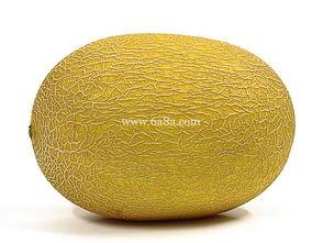 吃哈米瓜过敏吗,了解过敏体质者的饮食禁忌