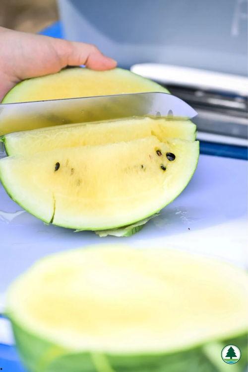 五拼冷吃瓜,夏日消暑美食新体验