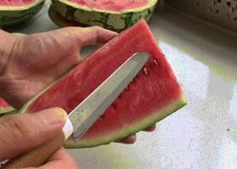 法律故事吃瓜,一场法律故事的吃瓜盛宴