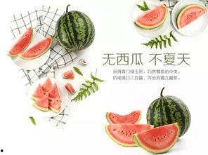 吃瓜夏天活动,瓜果飘香——吃瓜夏天活动盛况回顾