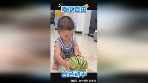 吃瓜自由小孩,揭秘新一代网络文化现象