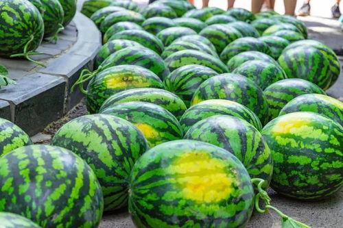 陕西工院吃瓜,揭秘校园热点背后的故事