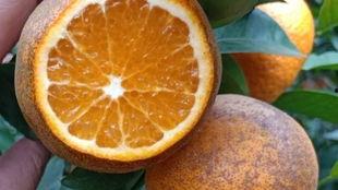 休闲吃瓜的大号,揭秘娱乐圈幕后故事