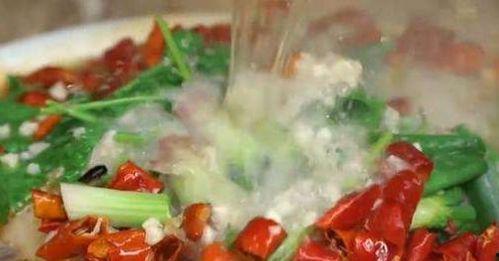 碎鱼片吃瓜,揭秘美食与娱乐的跨界融合