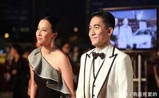 梁朝伟吃瓜,娱乐圈的“瓜王”揭秘