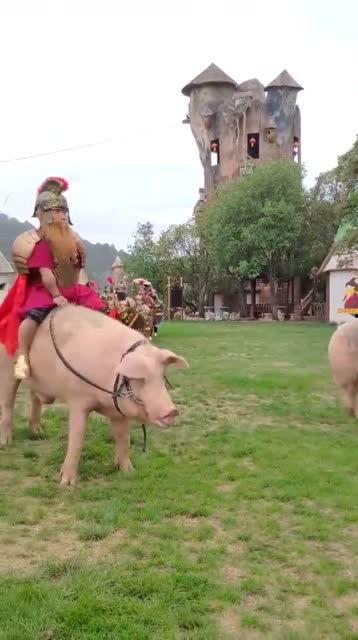 老猪八吃瓜,揭秘娱乐圈那些不为人知的幕后故事