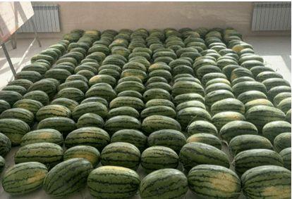 兴化最近吃瓜新闻,最新“瓜田”事件追踪，揭秘背后真相