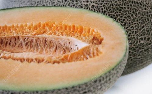 吃哈密瓜舌头麻,揭秘哈密瓜为何让人舌头发麻