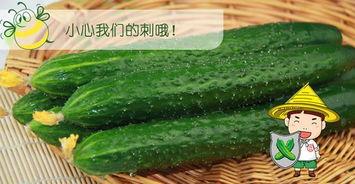 吃瓜配的图片,一场视觉盛宴的味蕾之旅