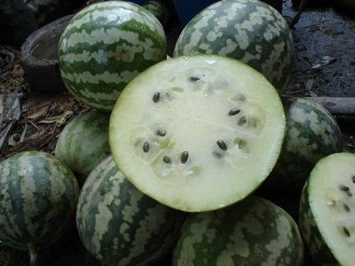 黑色胶瓜怎么吃,黑色胶瓜的多样食法探索