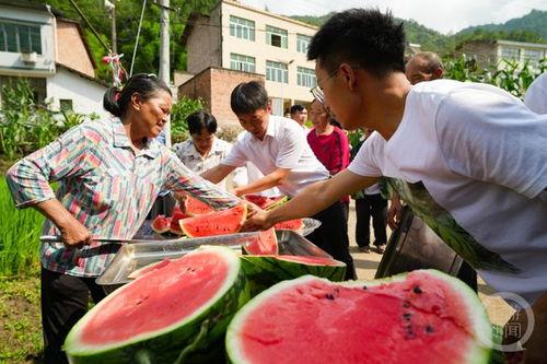 团范村吃瓜,一场味蕾与乡愁的邂逅