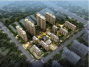 莱芜泰和嘉园吃瓜,一场别开生面的“吃瓜”盛宴