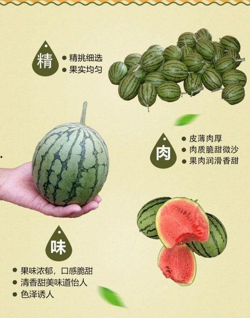 小可爱的吃瓜,娱乐圈幕后那些事儿