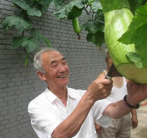 农村吃瓜搞笑,笑料百出欢乐多