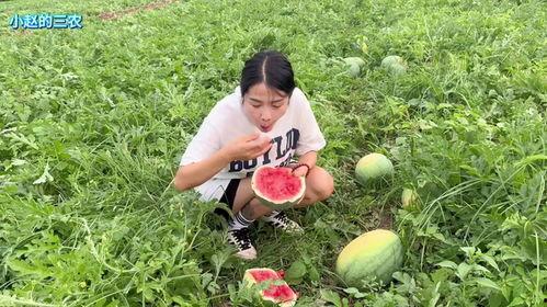 南阳吃瓜,探寻当地特色美食之旅