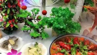 诸城结婚吃瓜,吃瓜群众围观趣味瞬间