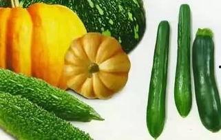 通州海王吃瓜,一场吃瓜群众的狂欢盛宴