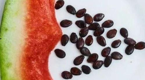 吃瓜吐籽,揭秘瓜果中的小秘密