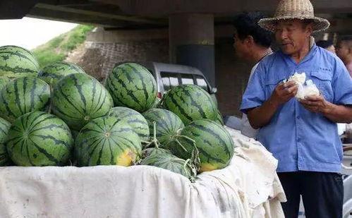 长治吃瓜事件真相,揭开真相背后的惊人内幕