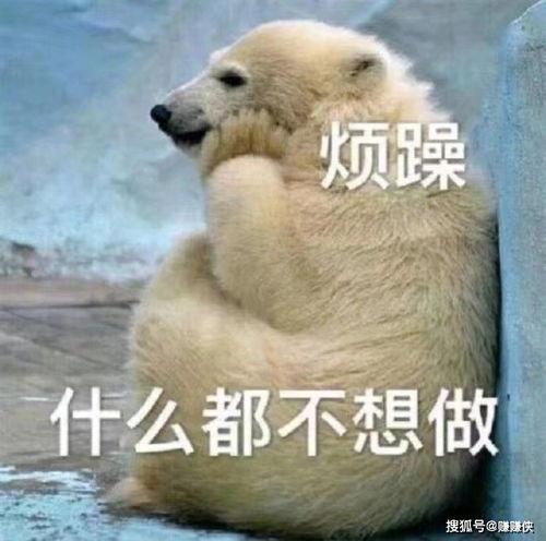 吃瓜群众放心吃瓜图片,吃瓜群众放心吃瓜，揭秘网络热议背后的真相