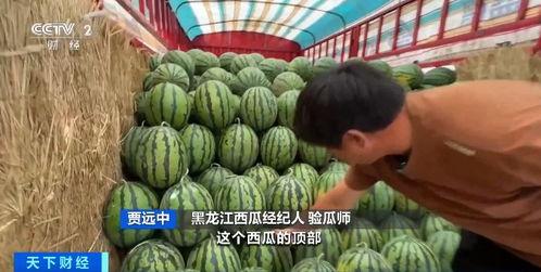 英华达吃瓜,揭秘娱乐圈背后的真相与争议