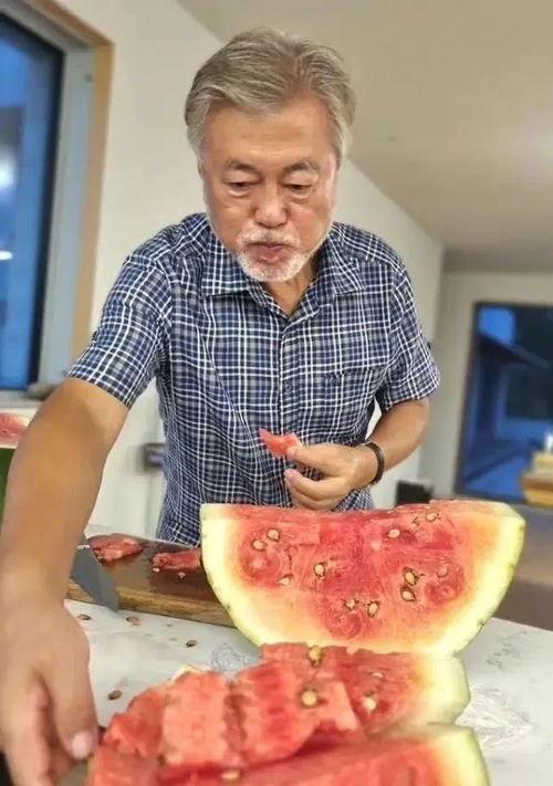 文在寅吃瓜猪吃的