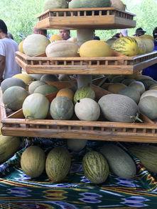 新疆最近吃瓜事件,揭秘背后真相与网络舆论风暴