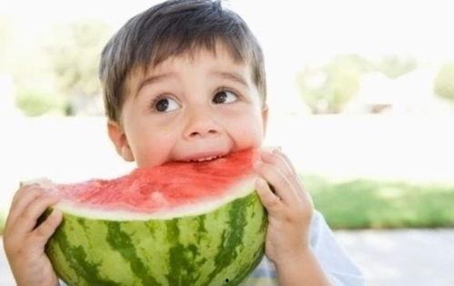 借个瓜吃,邻里间的温馨互动与生活智慧