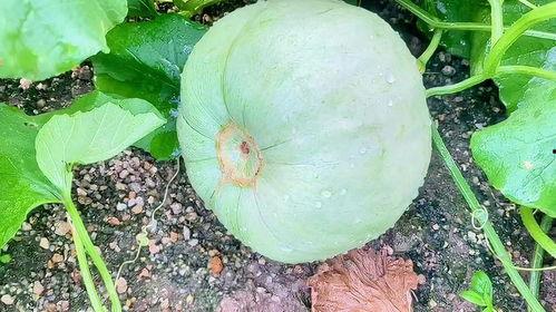 吃瓜三月,盘点娱乐圈热点事件