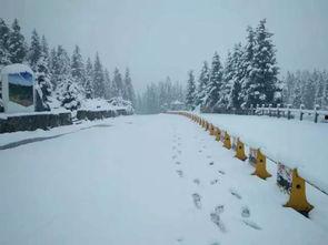 雪地可以吃瓜吗,揭秘雪地吃瓜的奇妙体验