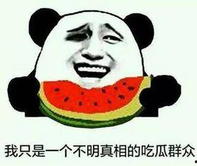 震惊网文吃瓜事件