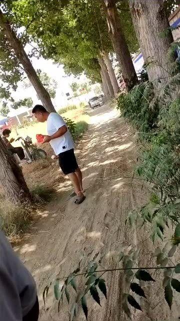 偶遇吃瓜青蛙,一场奇妙的自然邂逅